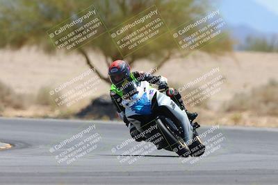 media/May-12-2024-SoCal Trackdays (Sun) [[ad755dc1f9]]/10-Turn 4 Tree of Life (1120am)/